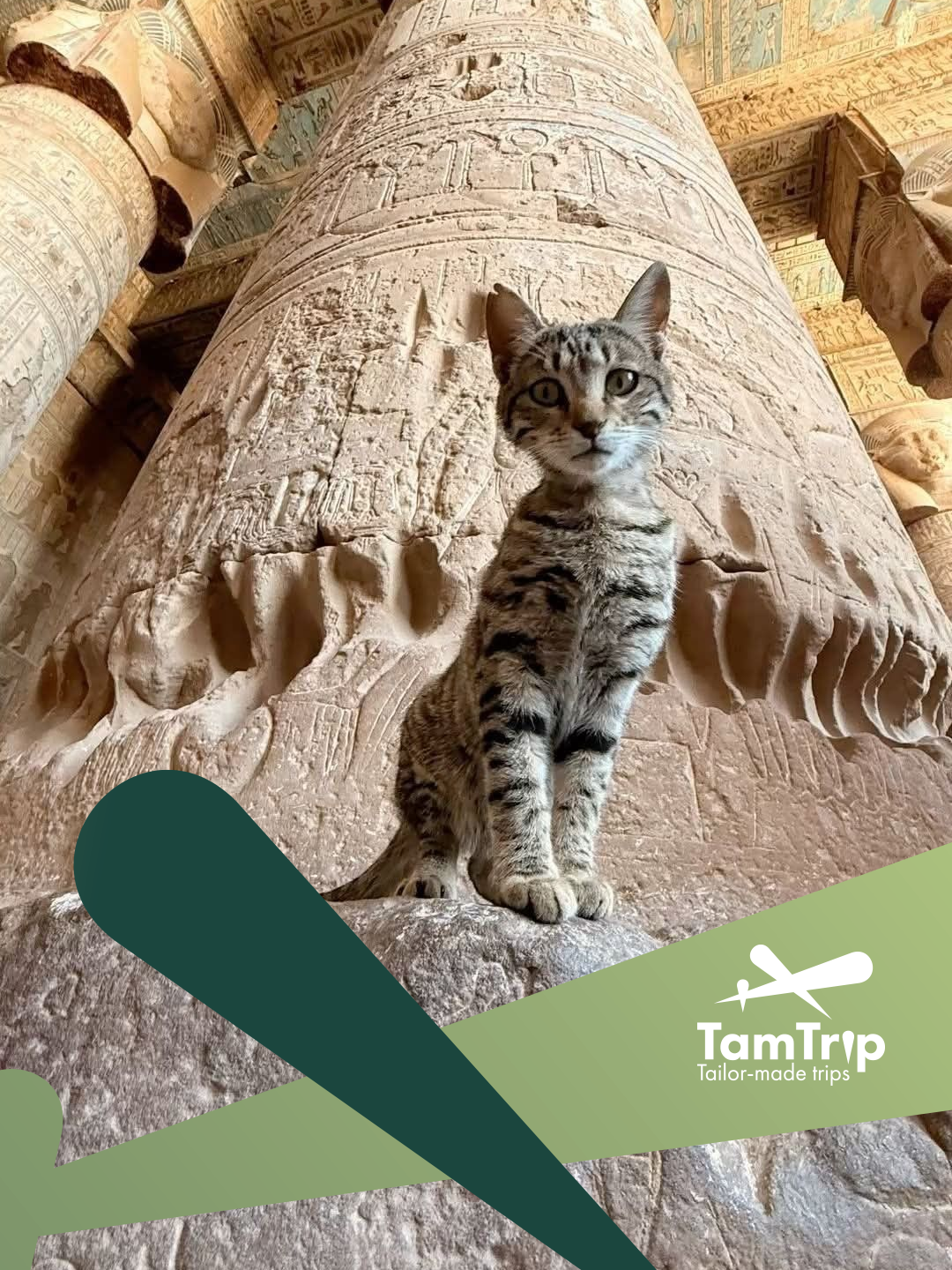 tamtrip